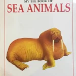 My Big Book of Sea Animals